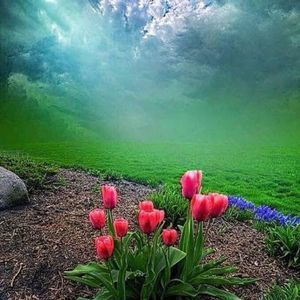 Meet your Posher, Elham